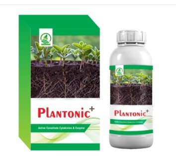 Plantonic+